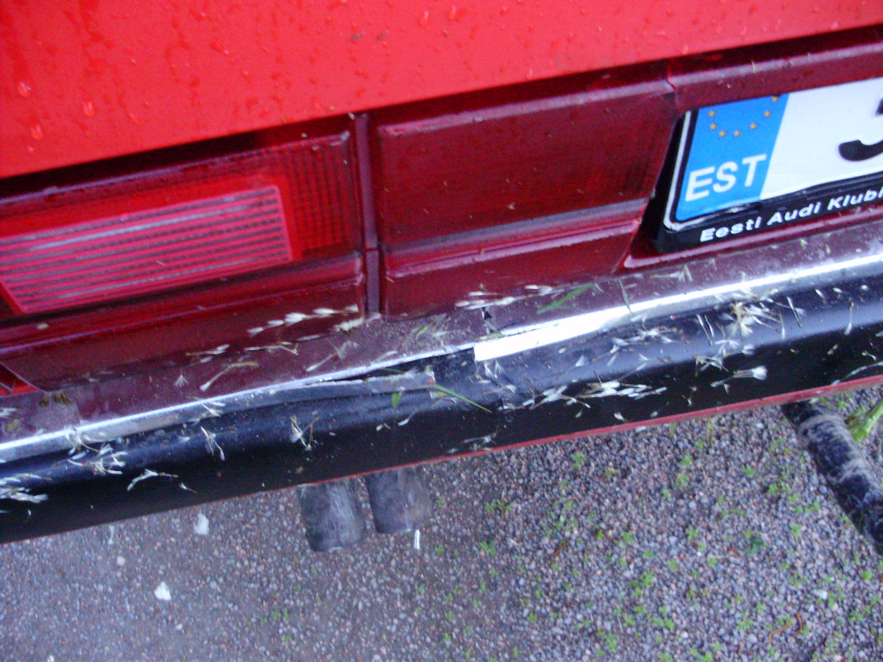Pildil on Audi 200 avariist tekitanud kahjustus, kus tagastange on liikunud keresse sisse umbes 10 cm, tagatuli on katki ja liist samuti.